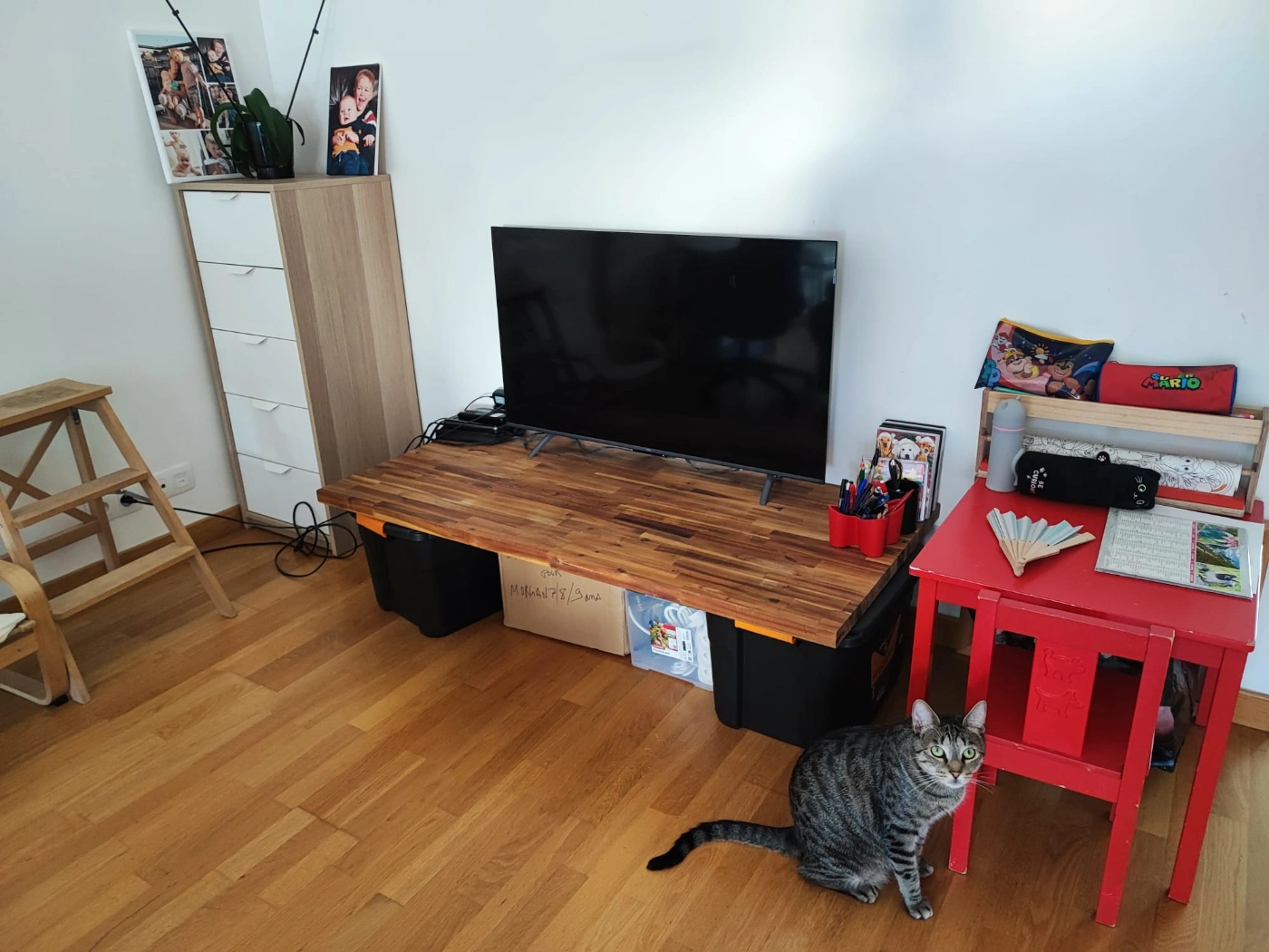 organisation-salon-salle-a-manger-famille-apres-rangement