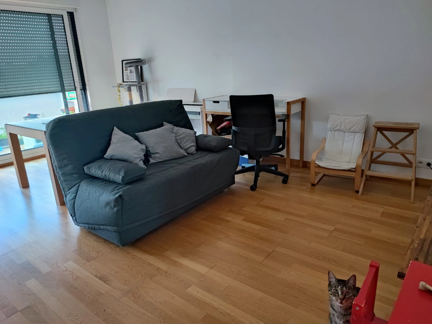 rangement-salon-salle-a-manger-familiale-apres